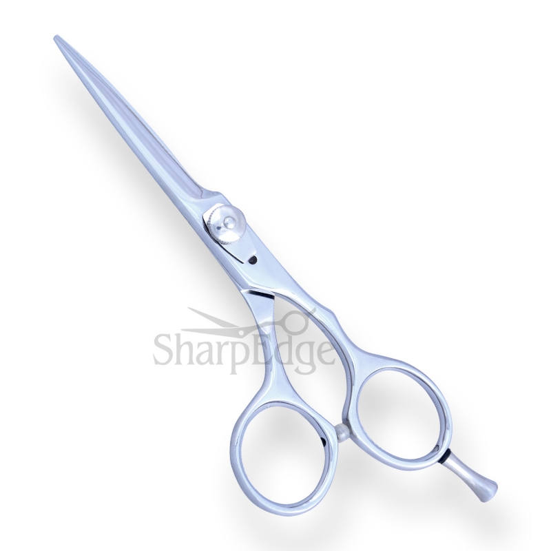 Professional Hair Dressing Scissors 